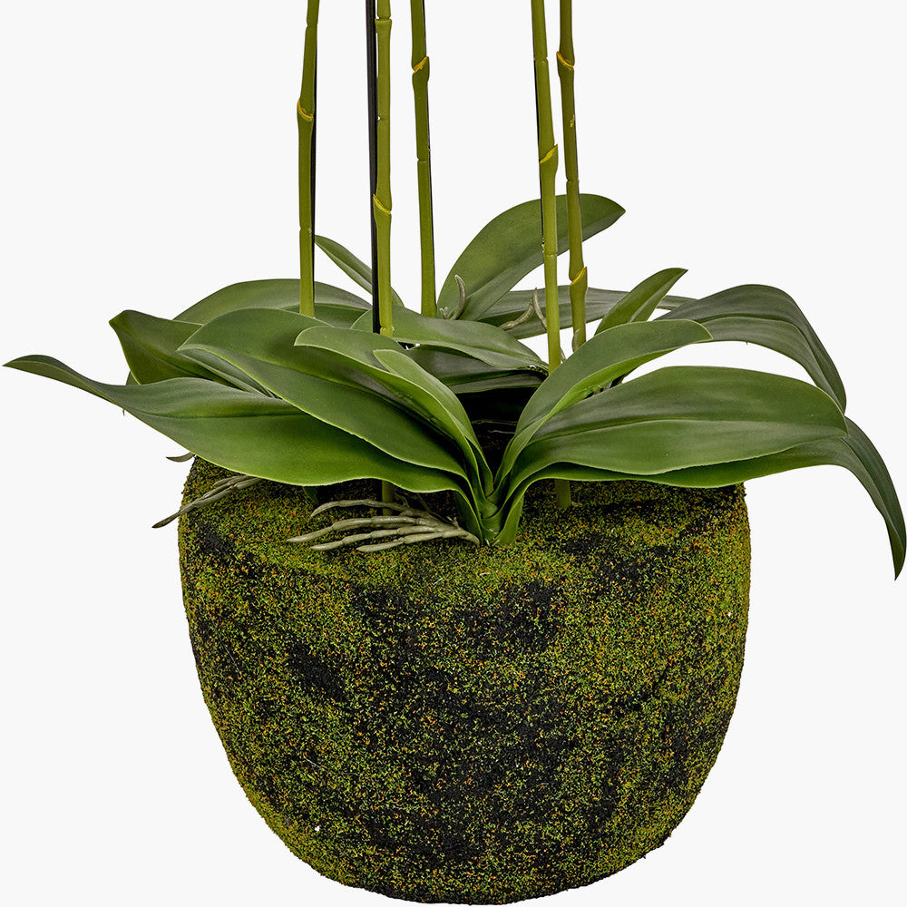 Artificial Tall White Orchid in Moss Pot